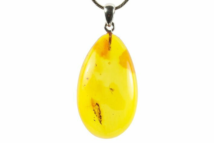 Polished Baltic Amber Pendant (Necklace) - Contains Fly! #367369